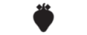 Logo Strawberrynet
